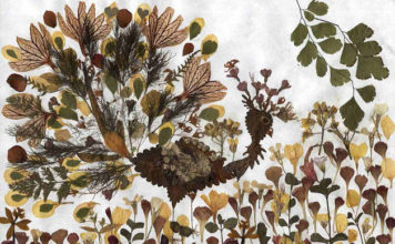 Creare un quadro con i fiori secchi 1148 0 Un quadro con i fiori secchi_OK